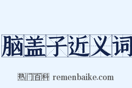 脑盖子近义词是什么意思的图片